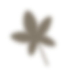 leave